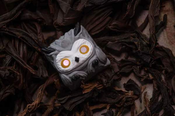 Remy Snowy Owl